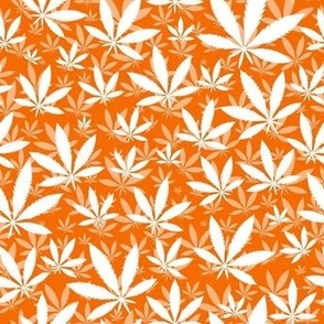 Smaller Scale Marijuana Cannabis Leaves White on Carrot Orange