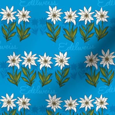 Edelweiss (Bavarian Blue small scale) 