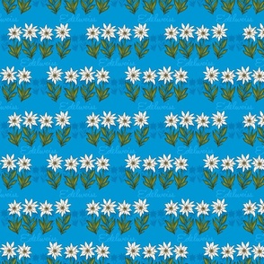 Edelweiss (Bavarian Blue small scale) 