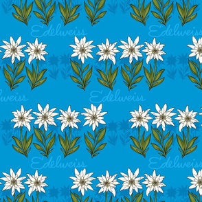 Edelweiss (Bavarian Blue) 