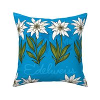 Edelweiss (Bavarian Blue large scale) 