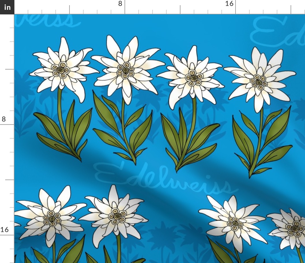 Edelweiss (Bavarian Blue large scale) 