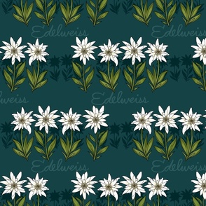 Edelweiss (Evergreen) 