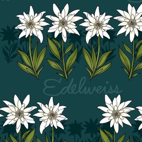 Edelweiss (Evergreen large scale) 