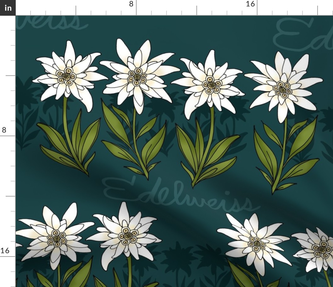 Edelweiss (Evergreen large scale) 