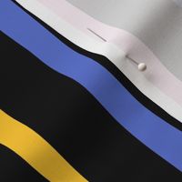 V1 Colorful Stripes on Black - Large