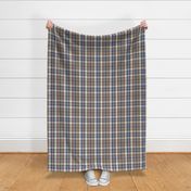 Harvest Plaid - Blue Beige Regular