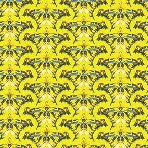 Butterfly Kaleidoscope 6x6