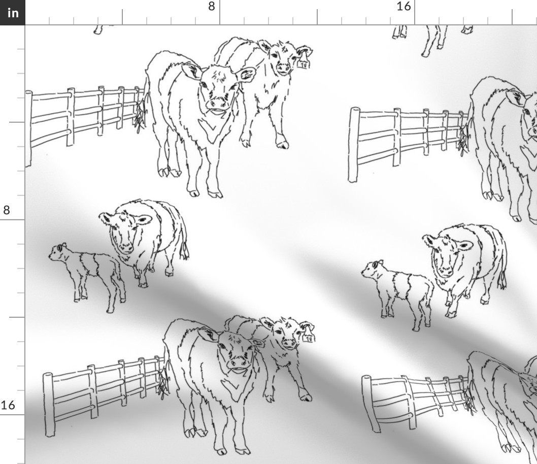 Belted Galloway White Cow Pattern