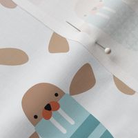 Cute baby walrus on blue and brown in medium scale