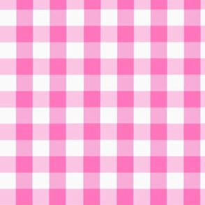 Pink Gingham Picnic 