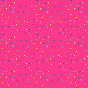 Small Multi Colour Confetti on Hot Pink
