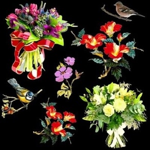 Des bouquets et des oiseaux multicolores sur fond noir