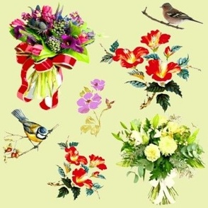 Des bouquets et des oiseaux multicolores sur fond pistache
