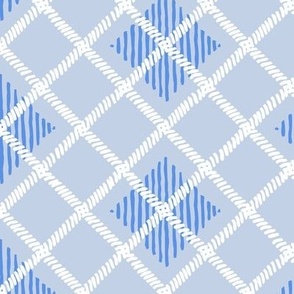 Baby blue plaid (LARGE)