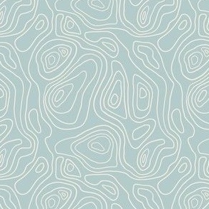 Lake Lines Depth Chart  - Small - SeaFoam Green