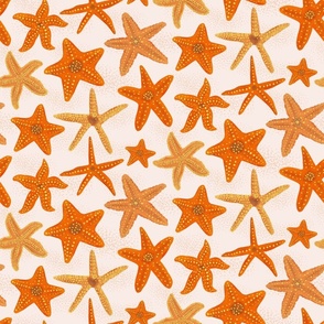 Starfish in oranges and off-white