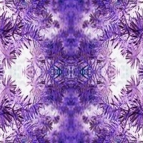 purplehedge