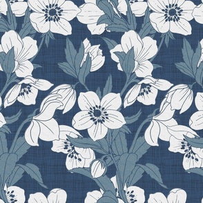 Hellebore blue white