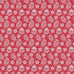 Vintage Indian Blockprint Pattern Charming Nostalgic Boho Style  White On Red Extra Small