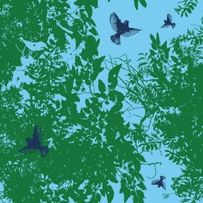 Bright Green Tree Canopy with Blue sky and Navy Birds