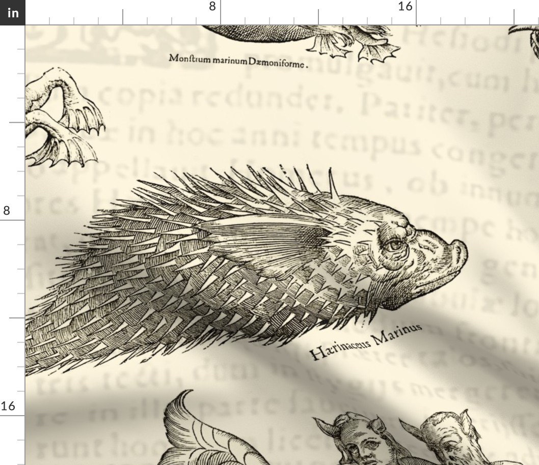 Vintage Sea Monsters with descriptions_large scale