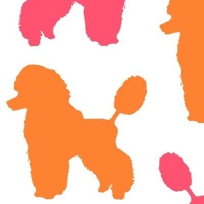 Poodles in Pink and Orange