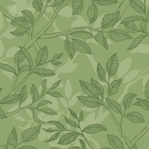 Hand Drawn Elm Branches in Sage and Olive Green (large scale)