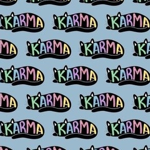Karma Cat   Midnights Album   The   Artist Singer Songwriter Touring Performer     1989 Red Lover Speak Now Reputation Fearless Folklore Evermore Scooter Braun  