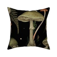 Death Cap - Mystic Poisonous Mushrooms with Enchanted Fern and Moonlit
