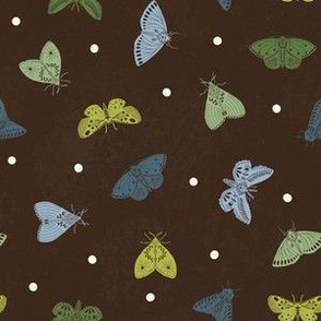 Folk Art Moths on Dark Brown