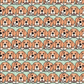 All the Beagles!