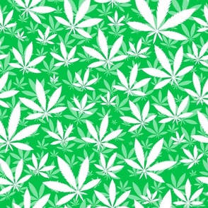 Bigger Scale Marijuana Cannabis Leaves White on Grass Green