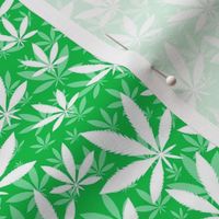 Smaller Scale Marijuana Cannabis Leaves White on Grass Green