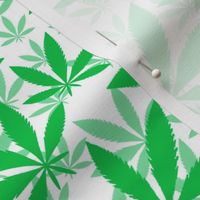 Bigger Scale Marijuana Cannabis Leaves Grass Green on White