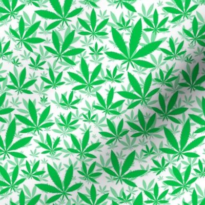 Smaller Scale Marijuana Cannabis Leaves Grass Green on White