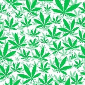 Smaller Scale Marijuana Cannabis Leaves Grass Green on White