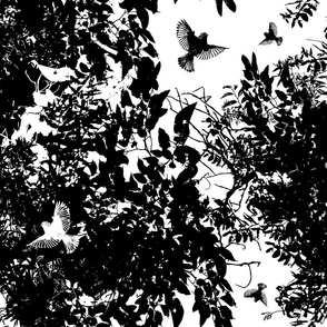 Tree Canopy with Birds in Black & White
