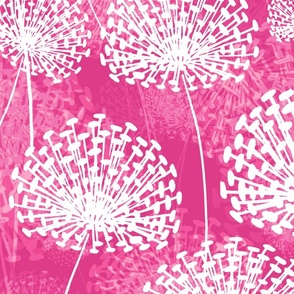Dandelions hyper pink LS