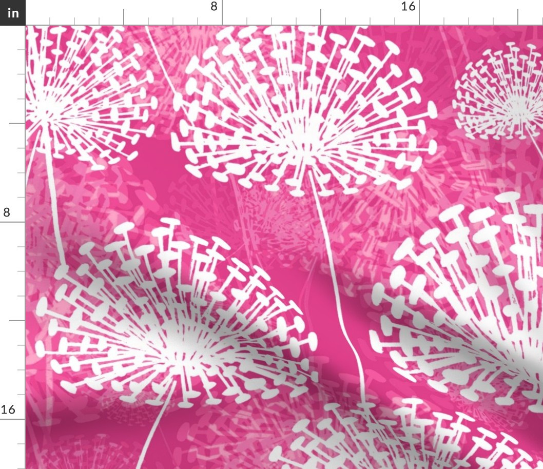 Dandelions hyper pink LS