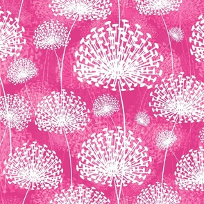 Dandelions hyper pink