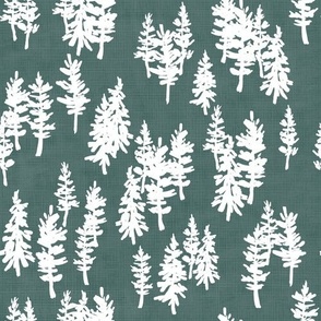 Backcountry Pines in Evergreen (Medium)