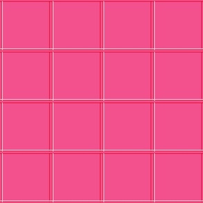 Barbiecore Hot Pink Windowpane Grid