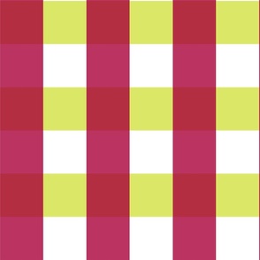gingham check-yellow-green and red