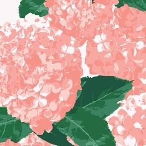 Pink Hydrangea Summer