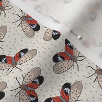 Spotted Lanternfly with cream background