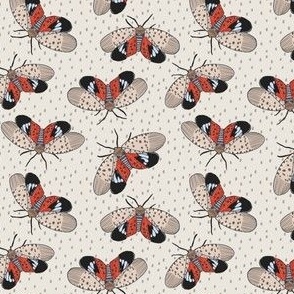 Spotted Lanternfly with cream background