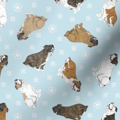 Tiny Bulldogs - winter snowflakes