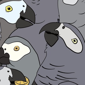 Updated! African Grey Parrot Pattern (Extra Large)