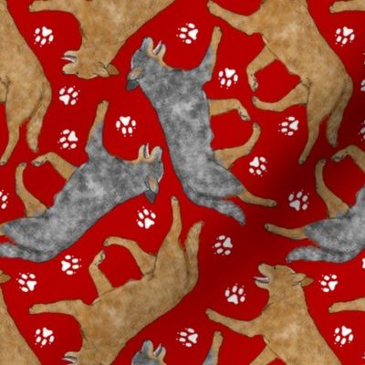 Trotting Australian Cattle Dogs and paw prints - red